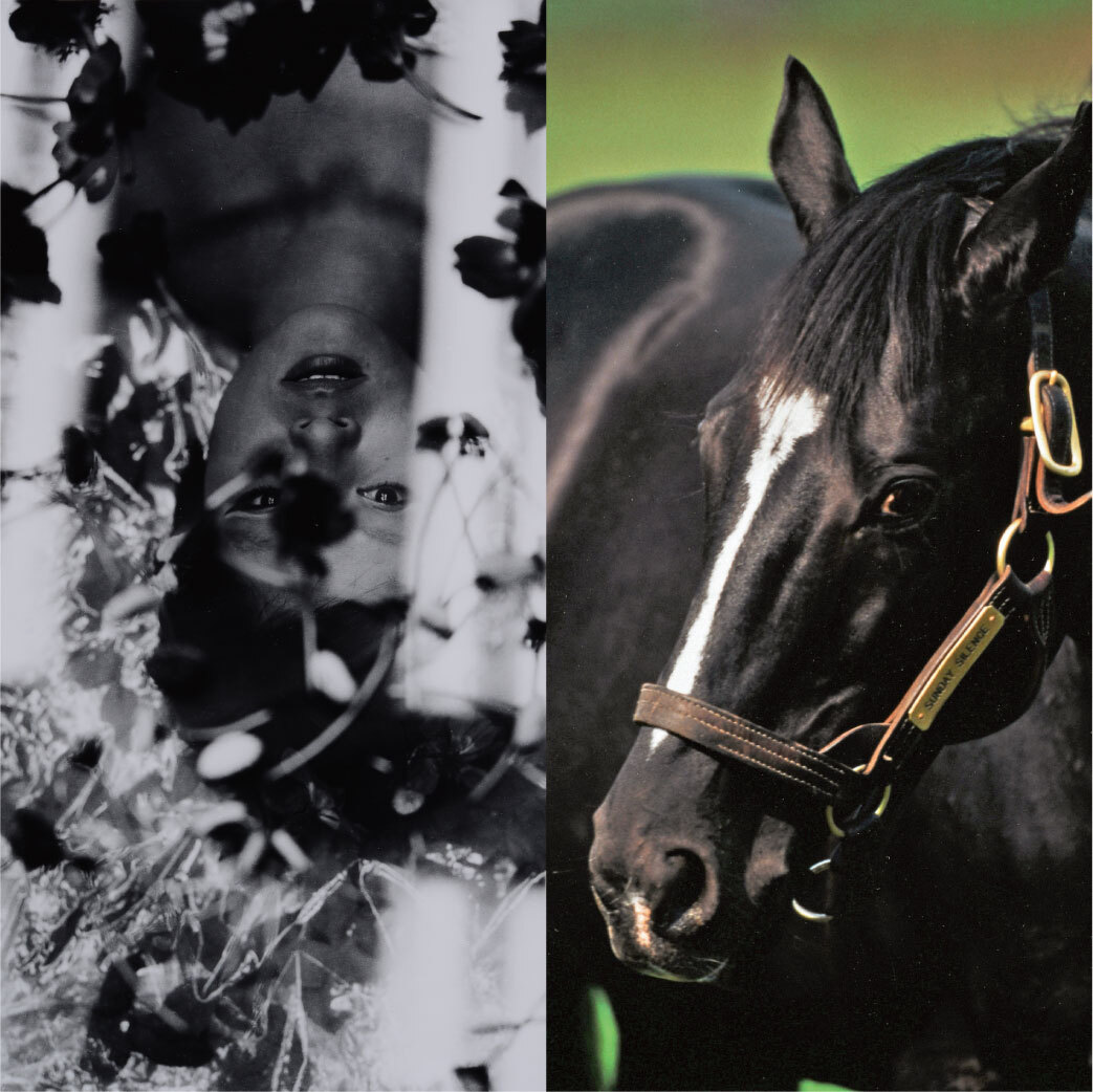 ディスカバリーシリーズvol.1写真展「今井壽惠の世界」 | コミュニケーションギャラリー ふげん社